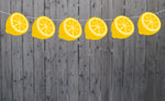 Lemon Slice Banner, Lemon Garland, Lemonade Banner, Lemonade Decorations, Lemonade Birthday Party, Lemon Slices, Lemon Photo Prop