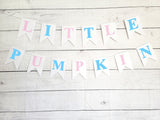 Little Pumpkin Gender Reveal Little Pumpkin Banner Little Pumpkin Baby Shower Little Pumpkin Birthday Pumpkin Banner Pumpkin Pink and Blue