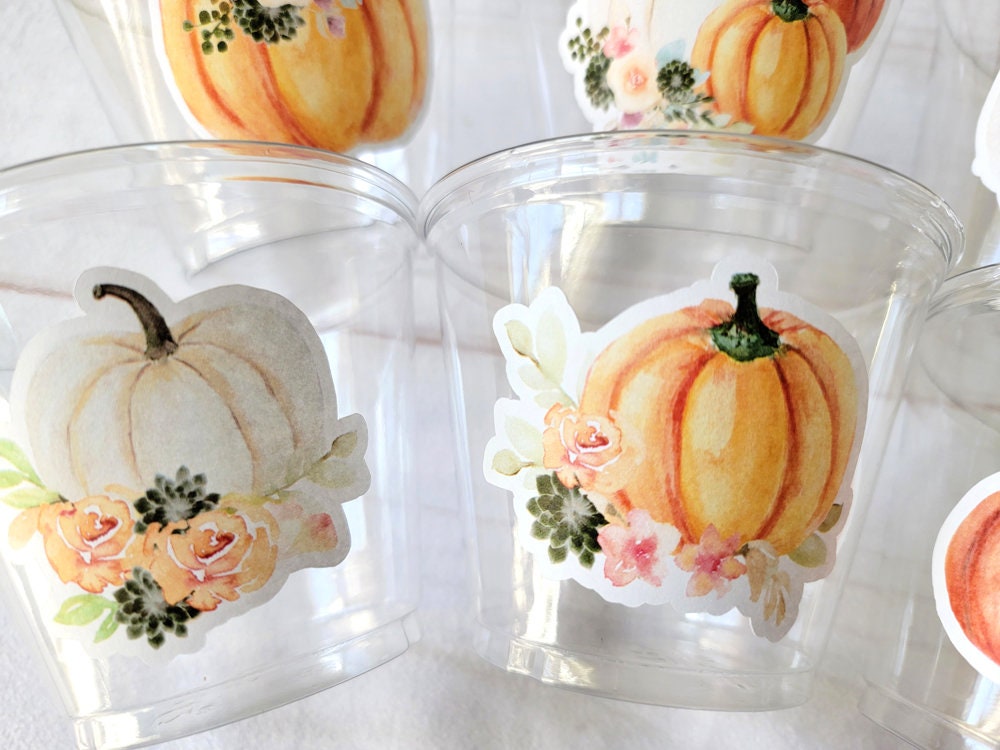 FALL PUMPKIN PARTY - Disposable Fall Pumpkin Party Little Pumpkin Fall Baby Shower Pink Pumpkin Fall Baby shower White Pumpkin Party Cups - Image 5