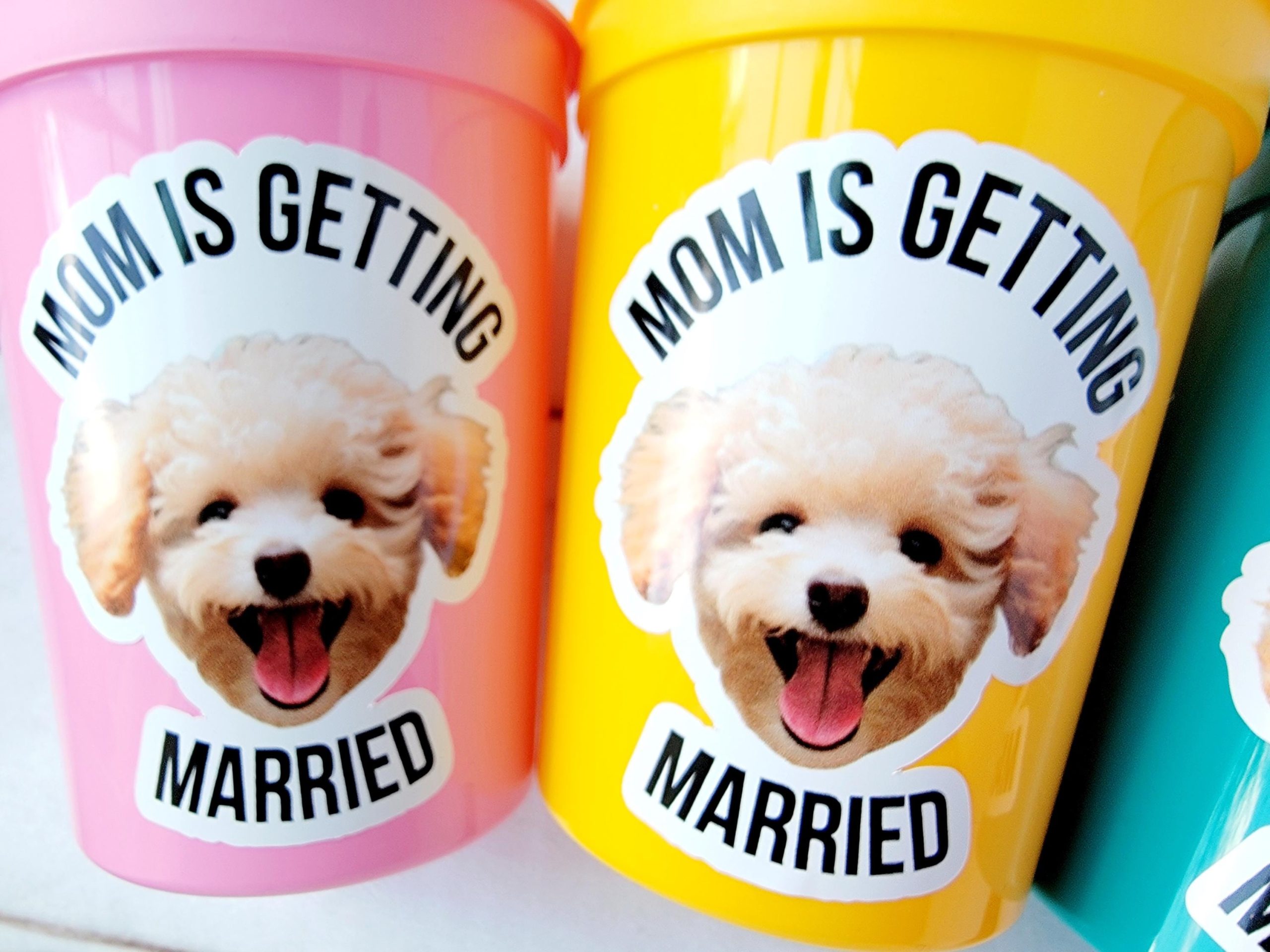 Personalized Dog Face Cups, Mom is Getting Married Cups, Bachelorette Party Favors, Bachelorette Party Games, Dog Face Bachelorette Cups Pet - Image 2